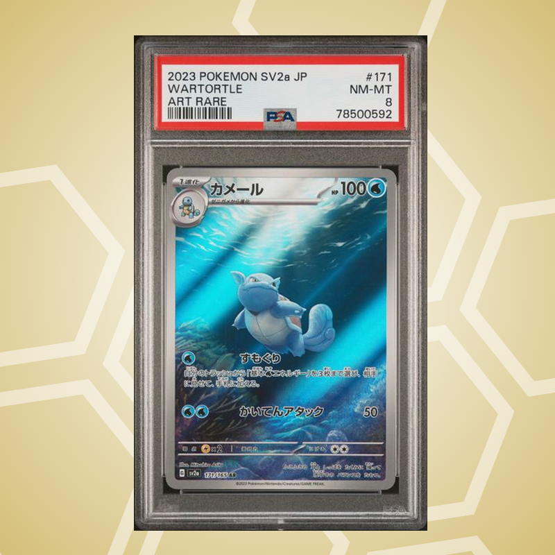 2023 Pokemon Japanese Sv2A-Pokemon 151 #171 Wartortle Art Rare PSA 8