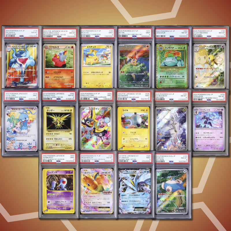 Brother Slab Bags (JP, PSA, CGC) 10.Auflage