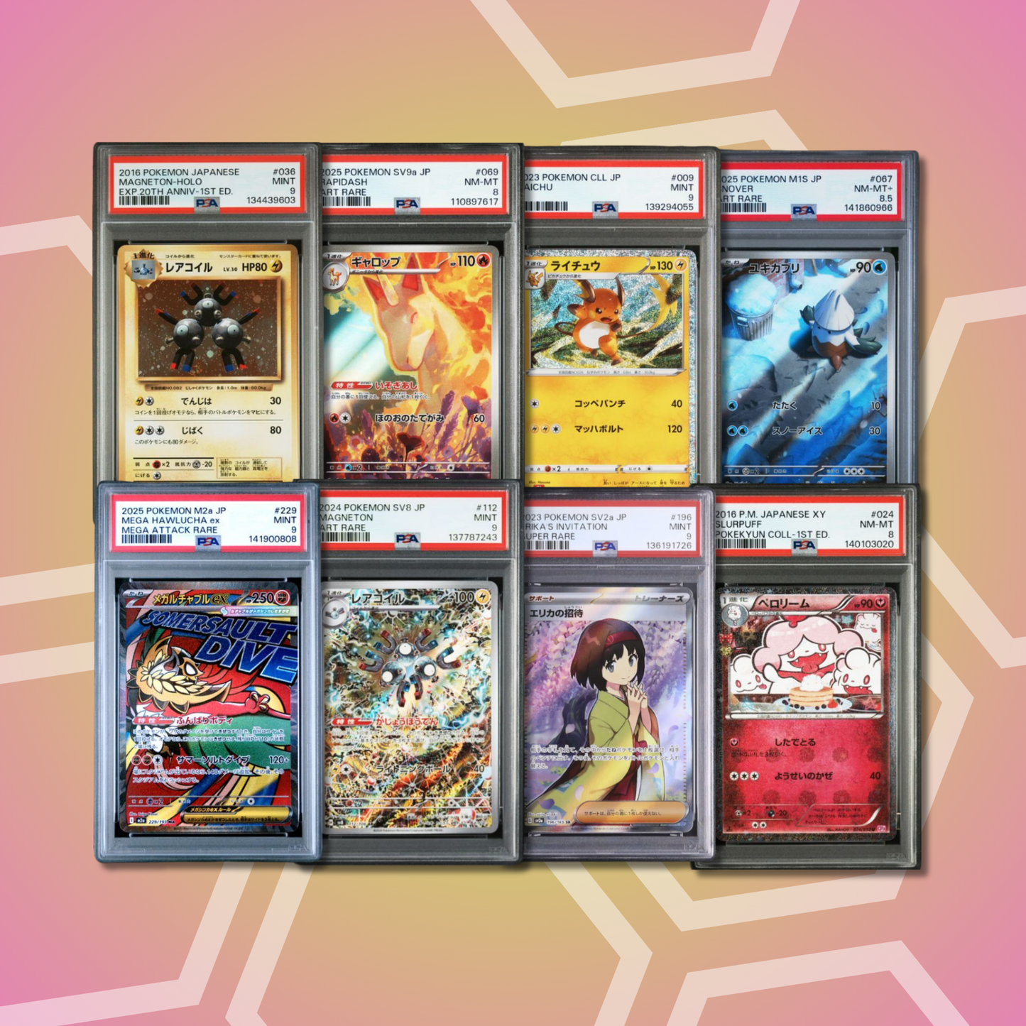 Brother Slab Bags (JP,PSA,CGC) 15. Auflage