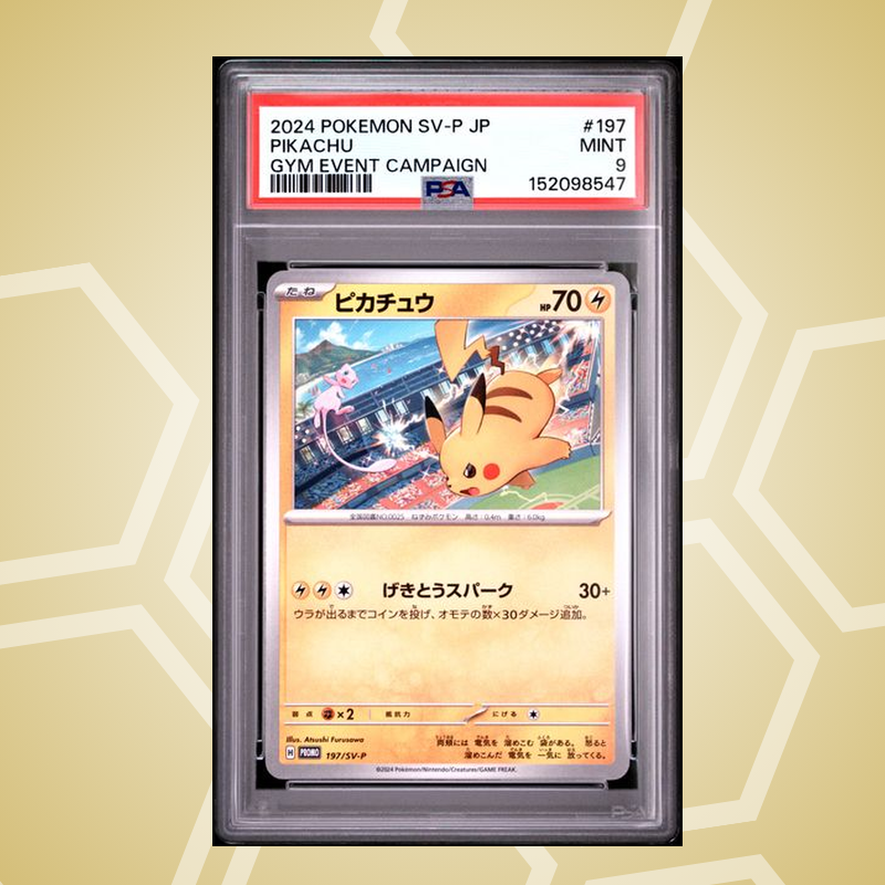 2024 Pokemon Japanese Sv-P Promo #197 Pikachu Gym Event Campaign PSA 9