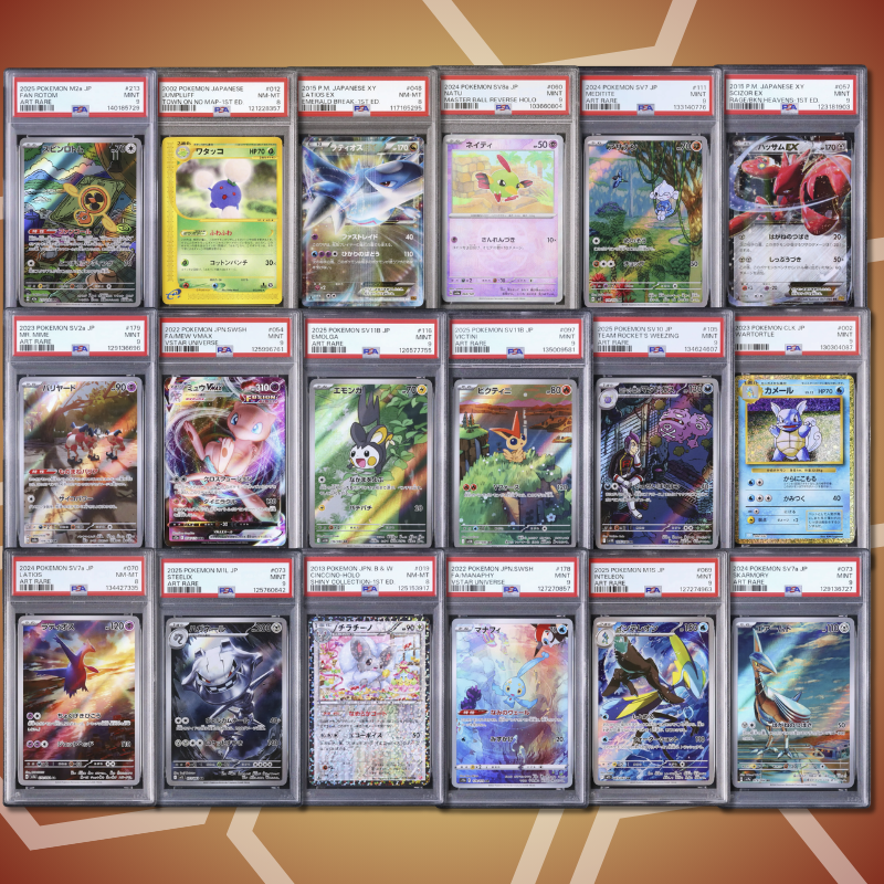 Brother Slab Bags (JP, PSA, CGC) 10.Auflage