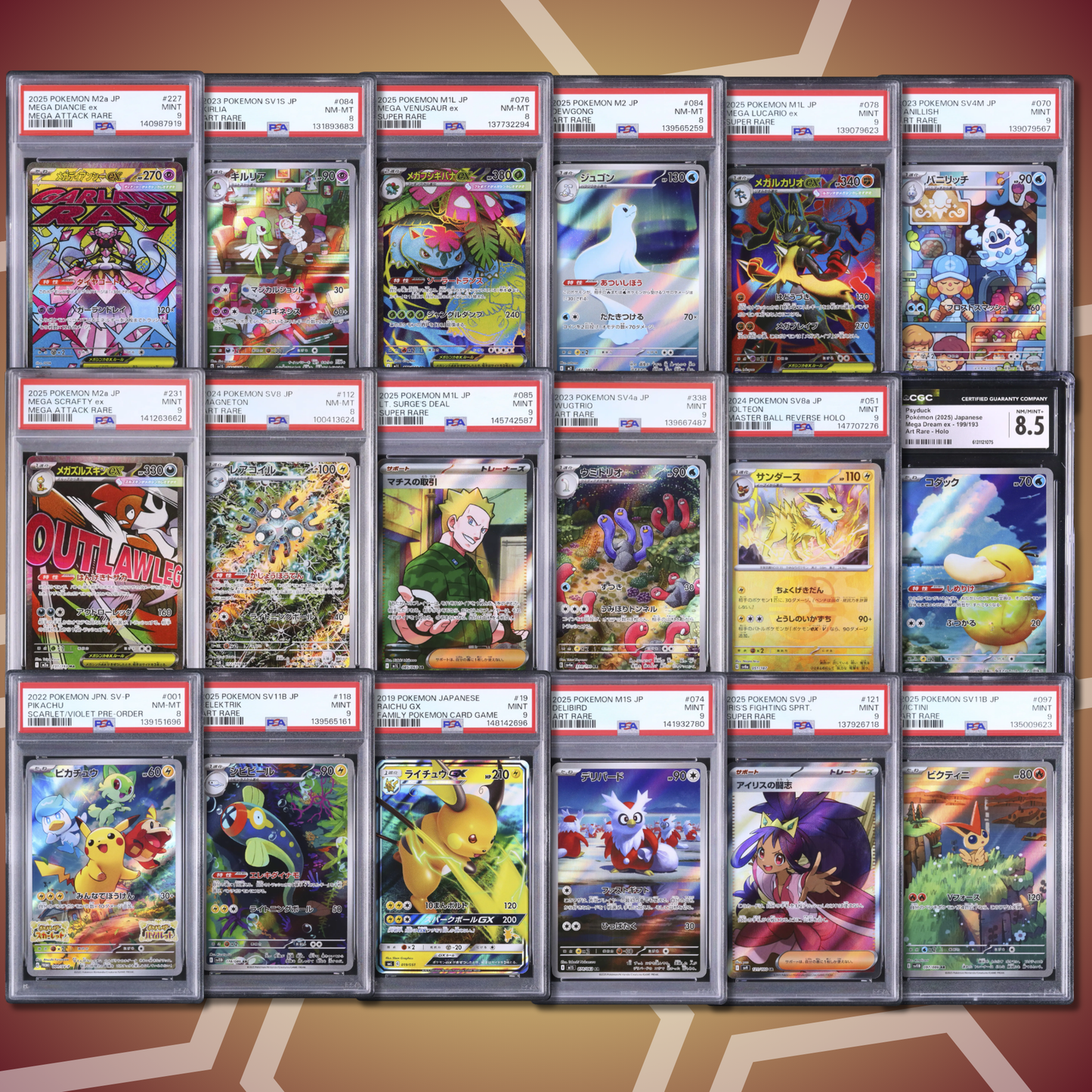 Brother Slab Bags (JP,PSA,CGC) 13. Auflage
