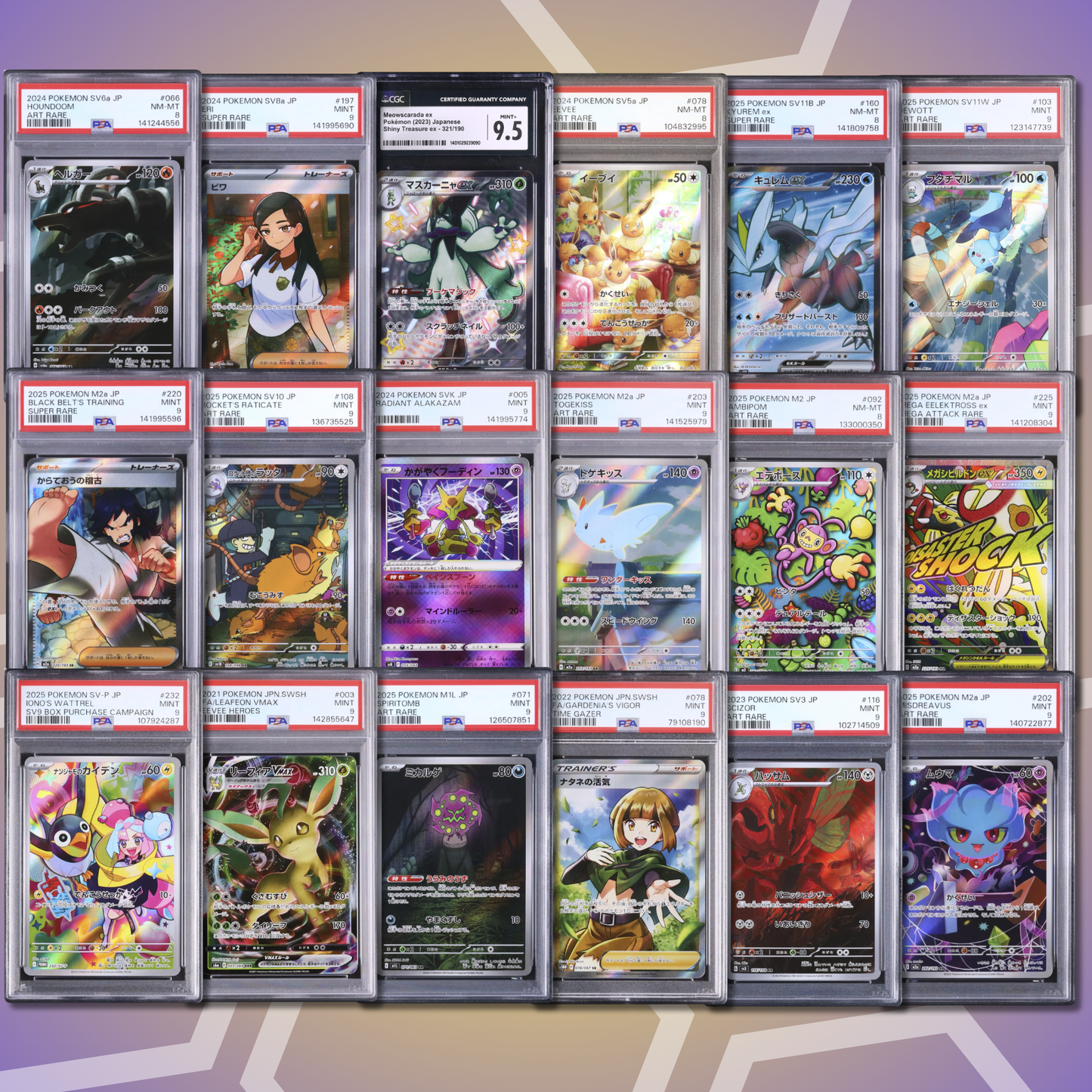 Brother Slab Bags (JP,PSA,CGC) 14. Auflage