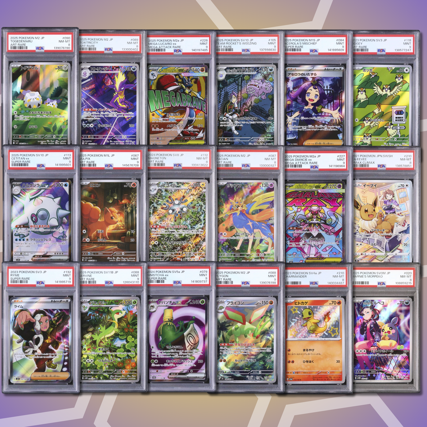 Brother Slab Bags (JP,PSA,CGC) 14. Auflage